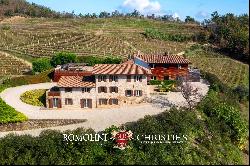 ORGANIC CUTTING-EDGE WINERY FOR SALE IN LANGHE, PIEDMONT