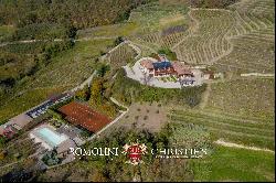 ORGANIC CUTTING-EDGE WINERY FOR SALE IN LANGHE, PIEDMONT