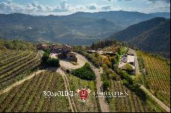 ORGANIC CUTTING-EDGE WINERY FOR SALE IN LANGHE, PIEDMONT