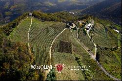 ORGANIC CUTTING-EDGE WINERY FOR SALE IN LANGHE, PIEDMONT