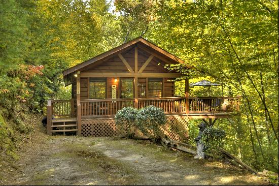 Cozy Cabin in the Heart of Blue Ridge