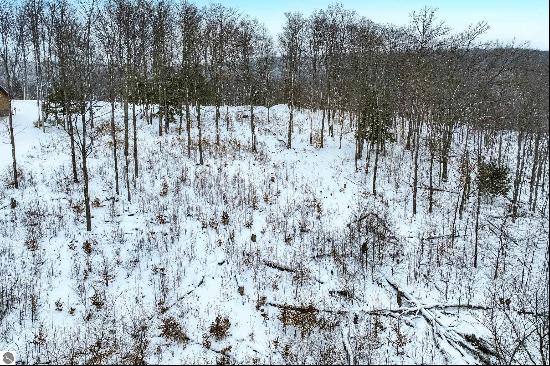 Lot 11 Connemara Drive, Boyne City MI 49712