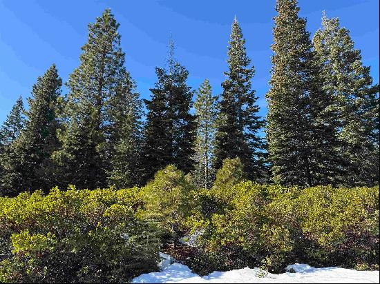 Lake Almanor