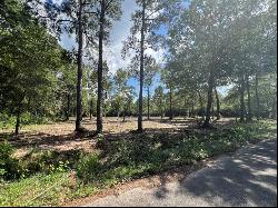 TBD Lot 3 Deerwood Drive, Plantersville TX 77363