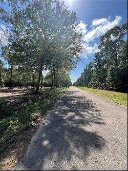 TBD Lot 3 Deerwood Drive, Plantersville TX 77363