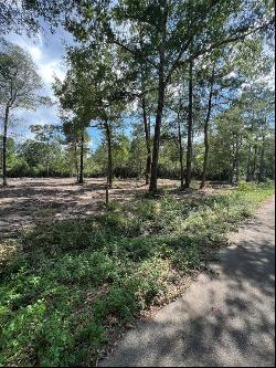 TBD Lot 3 Deerwood Drive, Plantersville TX 77363