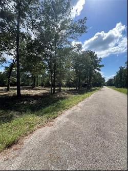 TBD Lot 2 Deerwood Drive, Plantersville TX 77363