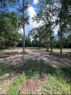 TBD Lot 2 Deerwood Drive, Plantersville TX 77363