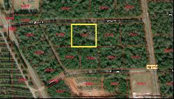 TBD Lot 2 Deerwood Drive, Plantersville TX 77363