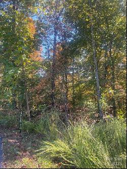 Lot 46 Bald Eagle Lane, Marion NC 28752