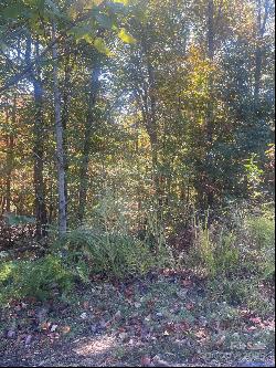 Lot 46 Bald Eagle Lane, Marion NC 28752