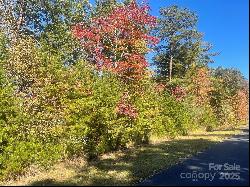 Lot 46 Bald Eagle Lane, Marion NC 28752