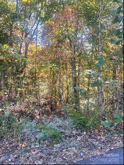 Lot 46 Bald Eagle Lane, Marion NC 28752