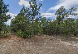 3 Elder Court W, Homosassa FL 34446