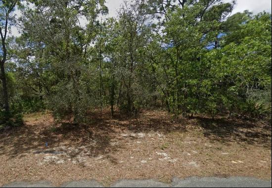 6 Elder Drive, Homosassa FL 34446