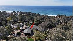 173 Ocean View Ave, Del Mar CA 92014