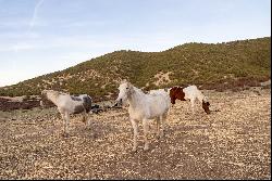 535 & 679 Calf Canyon Highway