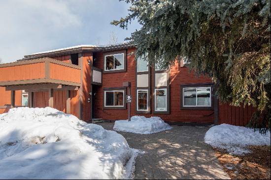 Custom, Cozy Remodeled Ground Floor Studio