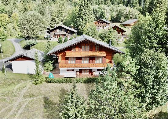 Luxury 6-bedroom chalet with jacuzzi in Les Diablerets