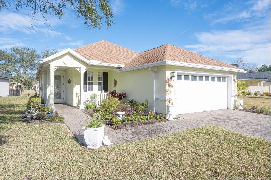 697 Copperhead Circle,St Augustine, FL, 32092