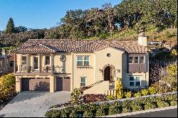 Gorgeous Napa Home with Views