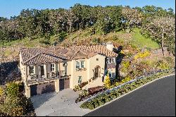 Gorgeous Napa Home with Views