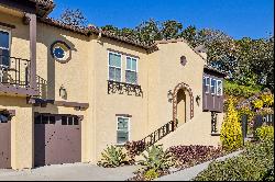 Gorgeous Napa Home with Views