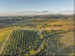 Farmhouse in Chianti with swimming pool and amazing views