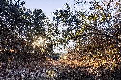 6.56 Acres Ranch Road 1623, Blanco, TX 78606