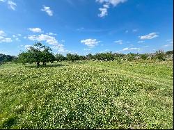 803+/- Acres Uvalde County Legacy Ranch , Uvalde, TX 788001