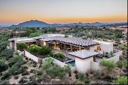 Gambel Quail 