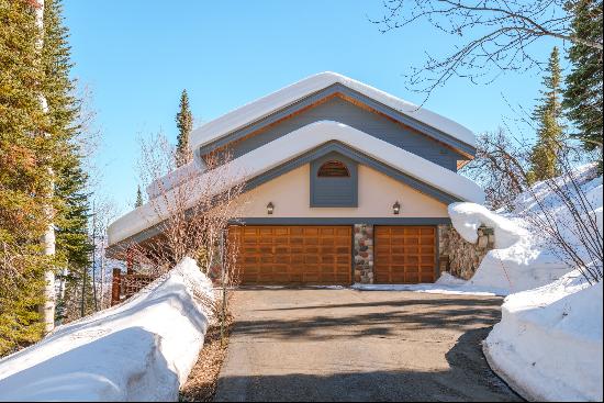 31055 Tree Top Lane, Steamboat Springs, CO 80487