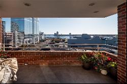 215 Brooke Avenue Unit 806, Norfolk VA 23510