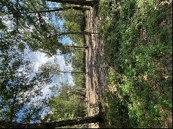 TBD Lot 3 Deerwood Drive, Plantersville TX 77363