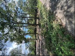 TBD Lot 3 Deerwood Drive, Plantersville TX 77363