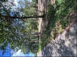 TBD Lot 3 Deerwood Drive, Plantersville TX 77363