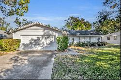 1101 Lantana Drive, Eustis FL 32726