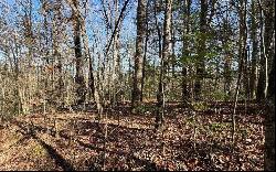 0 Mill Creek Acres, Blue Ridge GA 30513