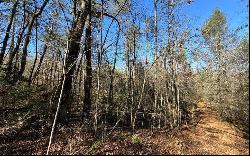 0 Mill Creek Acres, Blue Ridge GA 30513