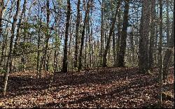 0 Mill Creek Acres, Blue Ridge GA 30513