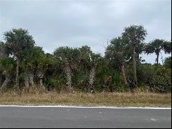 TBD Lot 4 Rocky Point Road, Malabar FL 32950