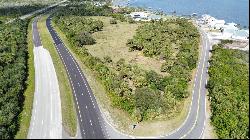 TBD Lot 4 Rocky Road, Malabar FL 32950