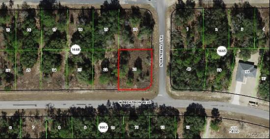 6597 N Bedstrow Boulevard, Citrus Springs FL 34433