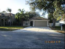 12229 Luftburrow Lane, Hudson FL 34669