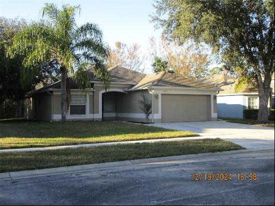 12229 Luftburrow Lane, Hudson FL 34669