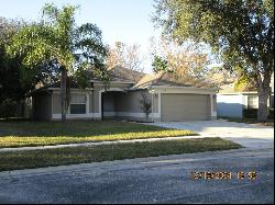 12229 Luftburrow Lane, Hudson FL 34669