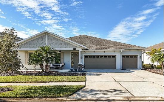 7853 Roma Dune Drive, Wesley Chapel FL 33545