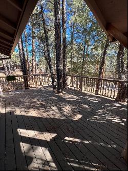 6868 W Hardscrabble Mesa Road, Pine AZ 85544