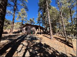 6868 W Hardscrabble Mesa Road, Pine AZ 85544