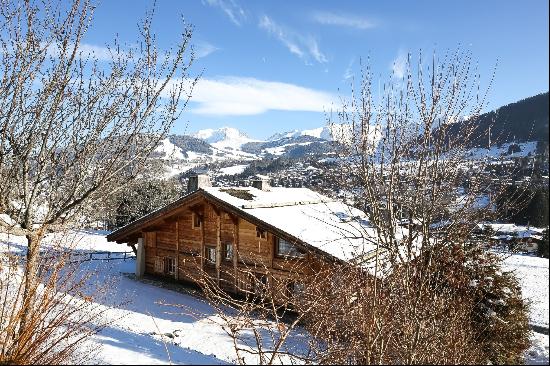 Chalet Barbara - Mont Blanc view